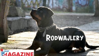 Rodwajlery