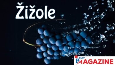Žižole