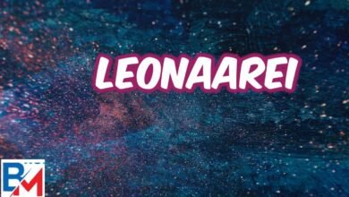 Leonaarei