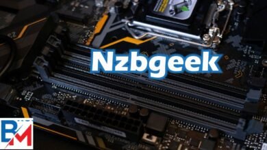 Nzbgeek