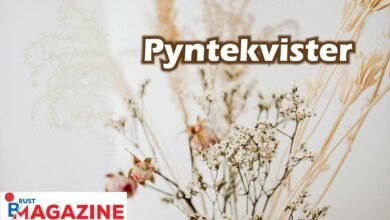 Pyntekvister