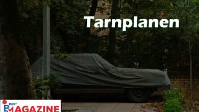 Tarnplanen