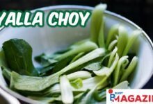 Yalla Choy